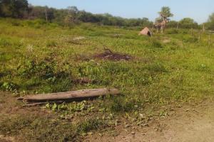 Campos Sin datos  campos